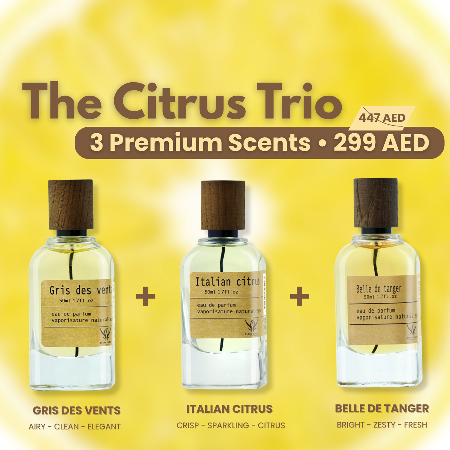 The Citrus Trio – 3 Perfumes