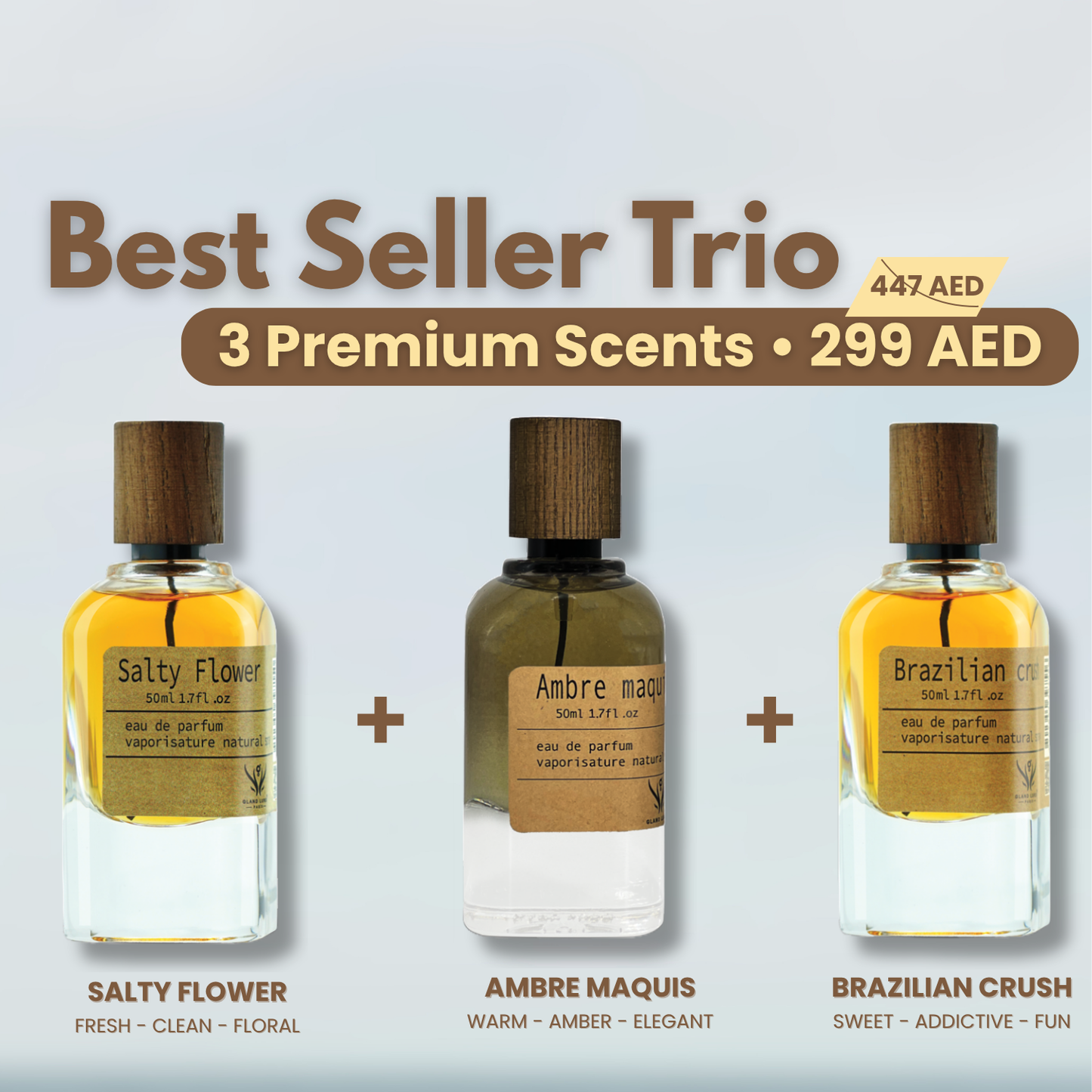 The Bestseller Trio – 3 Perfumes